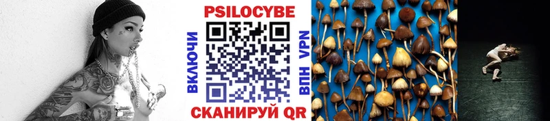 Купить  Биробиджан  Галлюциногенные грибы Cubensis 